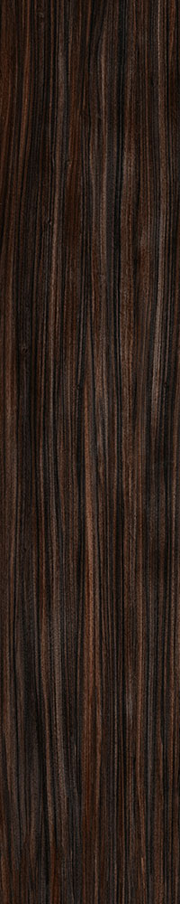 Matte Finish Coco Porcelain 200x1000mm