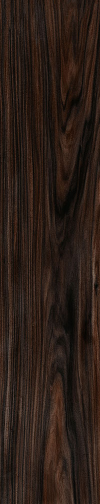 Matte Finish Coco Porcelain 200x1000mm