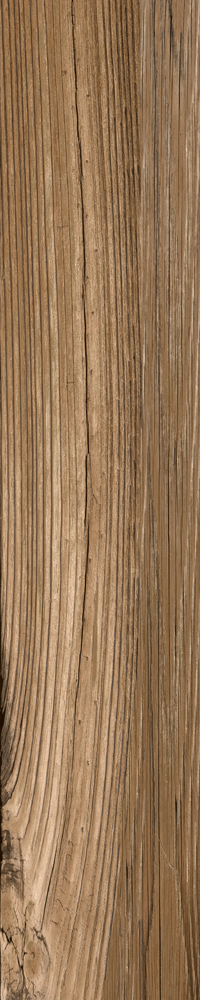 Matte Finish Conifer wood  Porcelain 200x1000mm