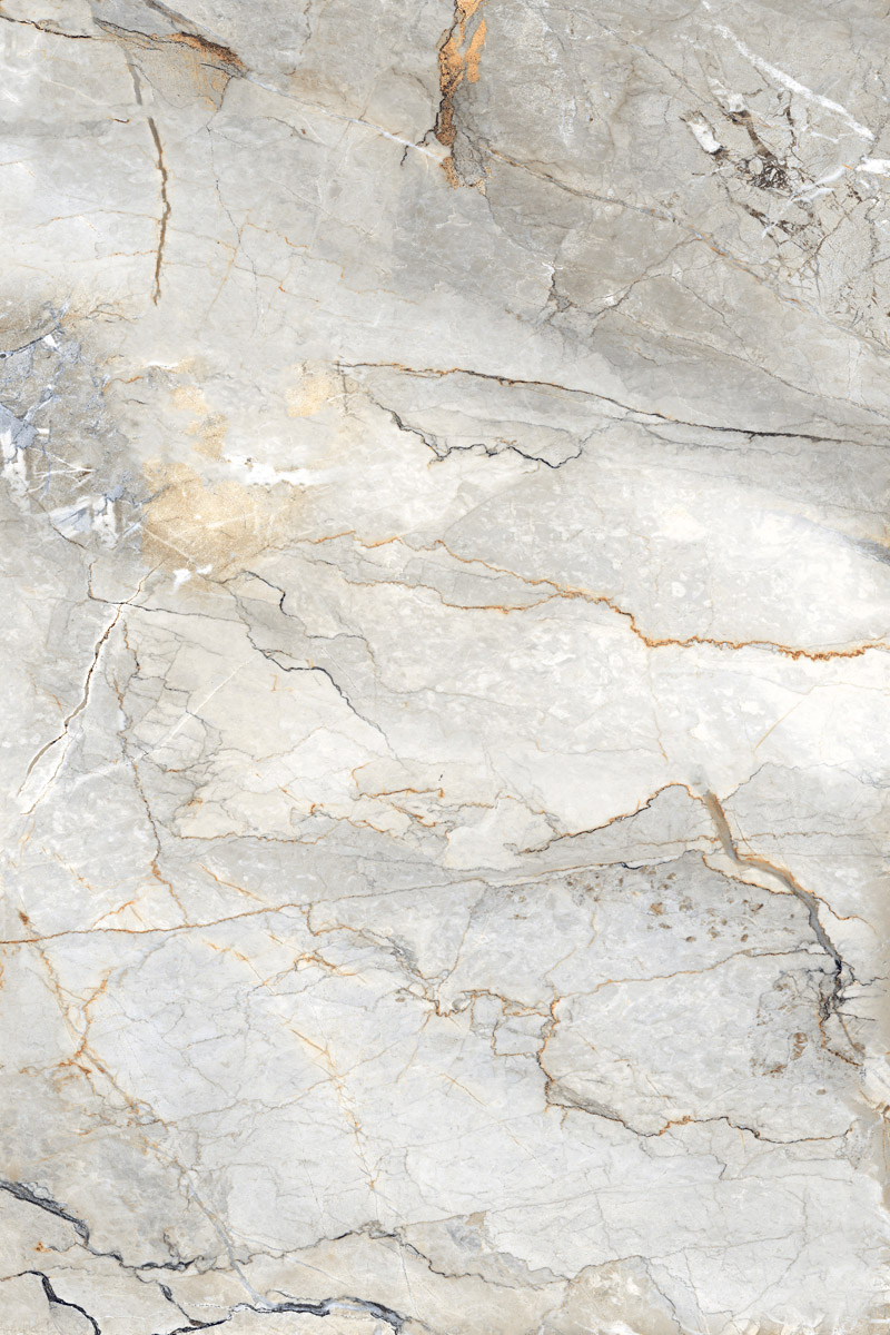 Glossy Finish Coralito Crema PGVT 800x1200mm