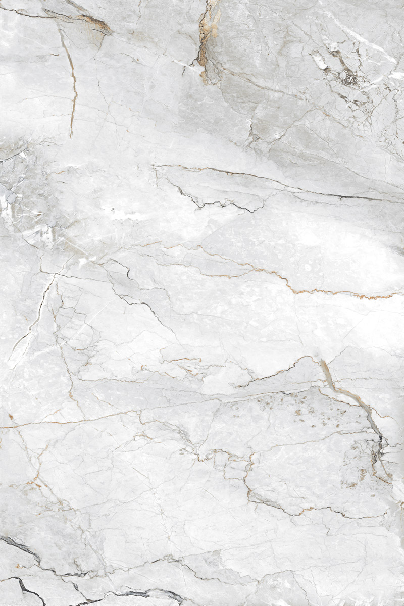 Glossy Finish Coralito Silver PGVT 800x1200mm