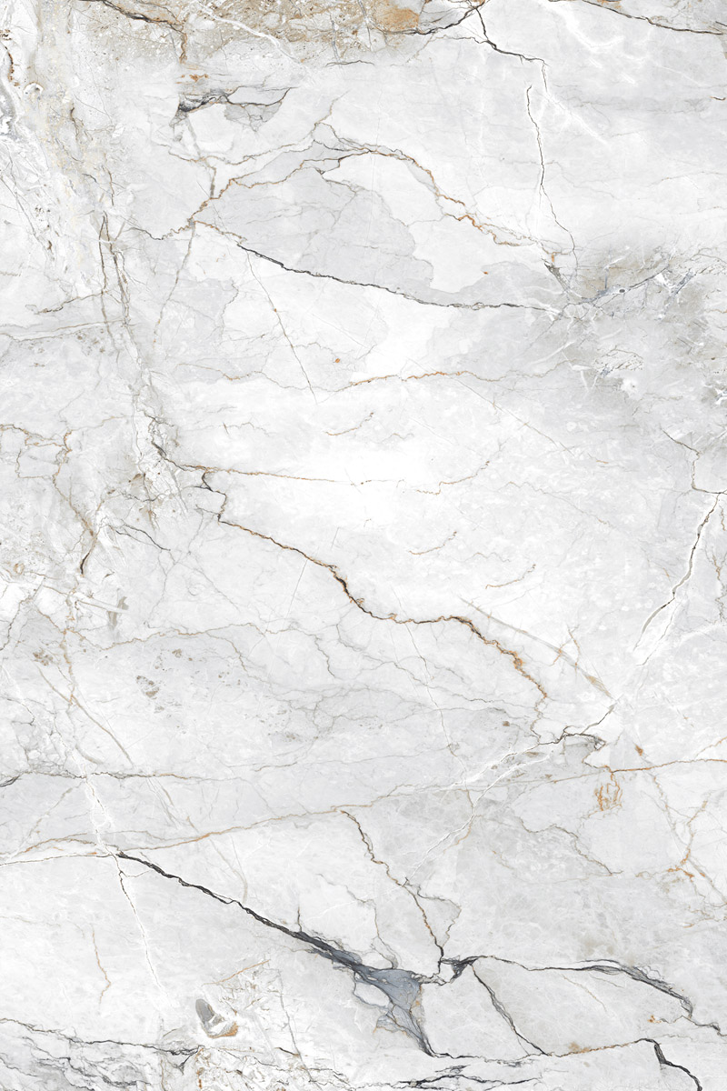 Glossy Finish Coralito Silver PGVT 800x1200mm