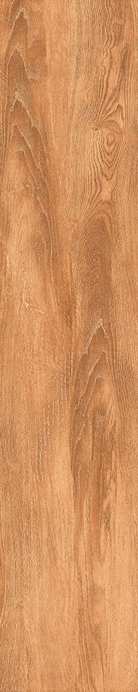 Matte Finish Cordia Porcelain 200x1000mm