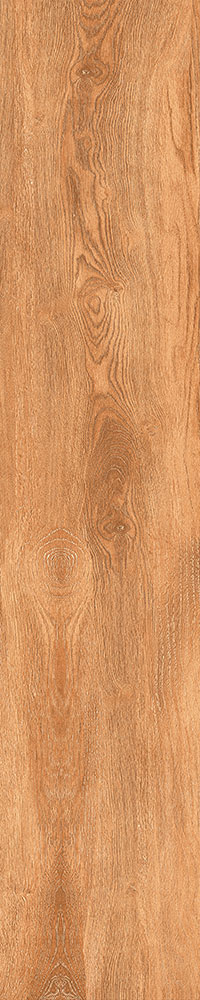 Matte Finish Cordia Porcelain 200x1000mm