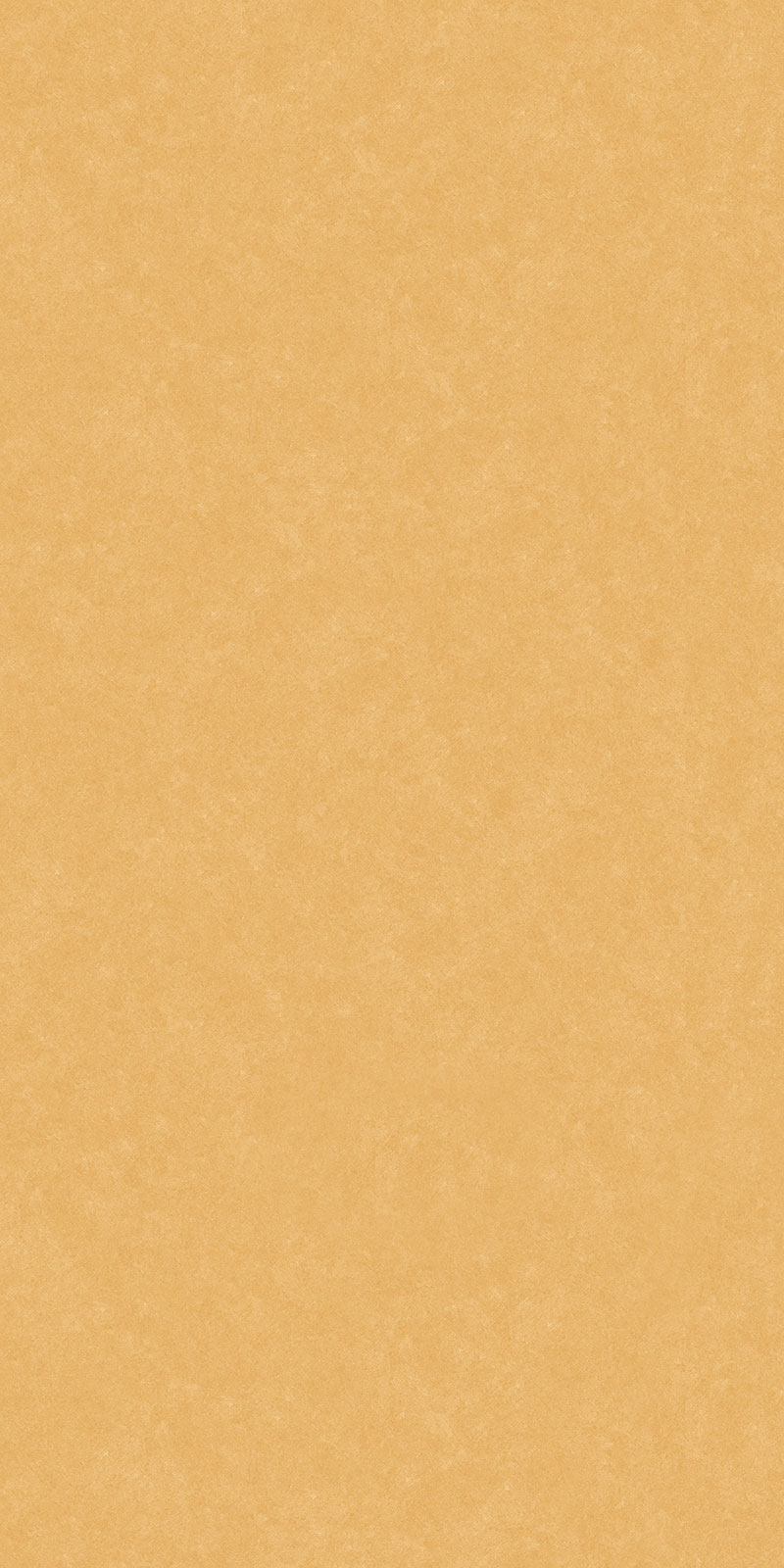 Matte Finish Cotto Sealine Musterd (800x1600) GVT 800x1600mm