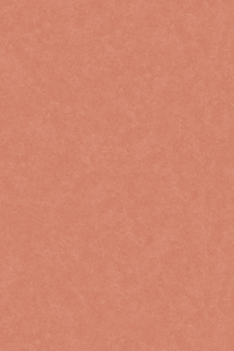 Matte Finish Cotto Sealine Terracotta GVT 800x1200mm