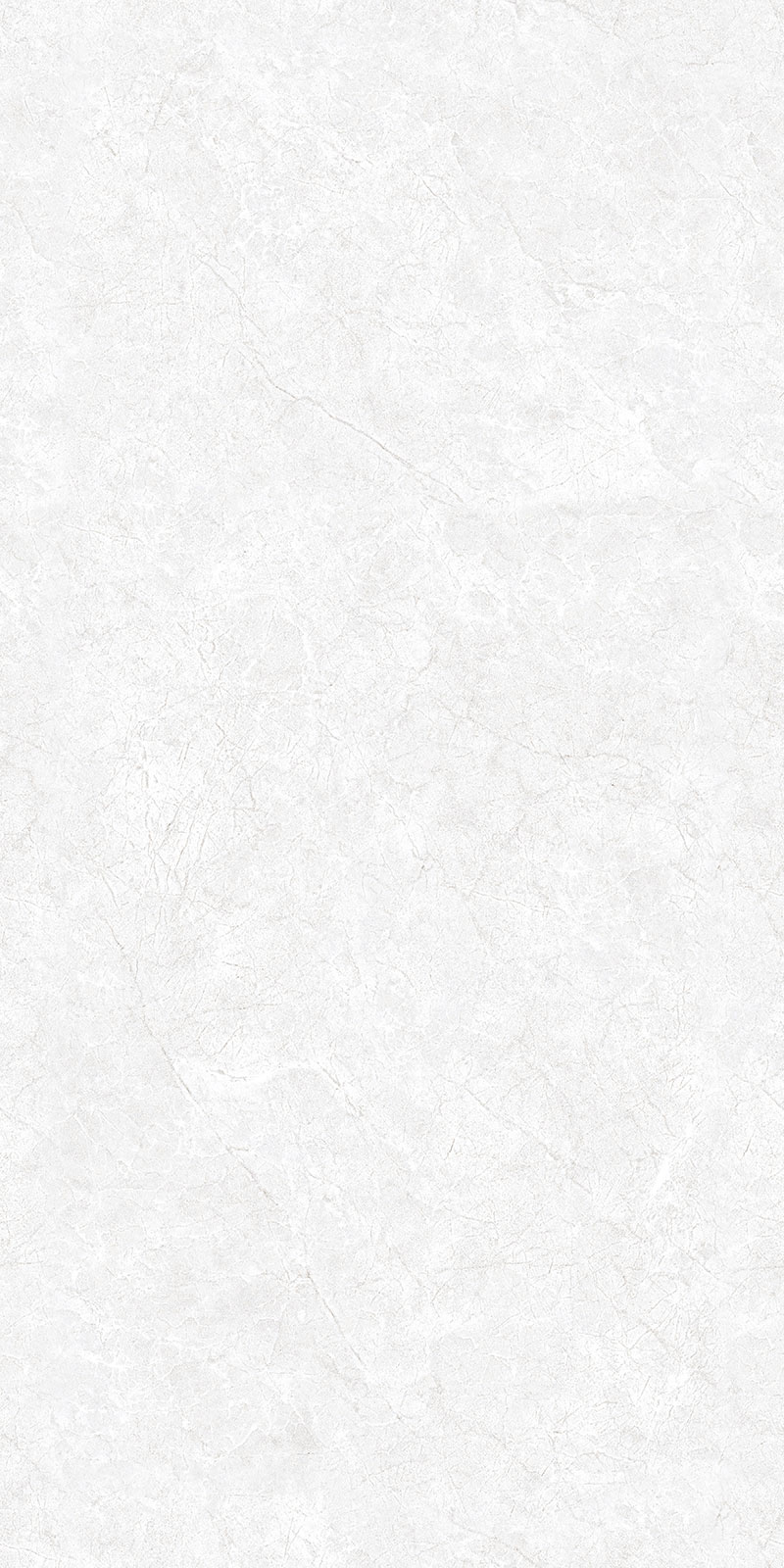 Matte Carving Finish CR Endless Oyster Bianco(800x1600) GVT 800x1600mm