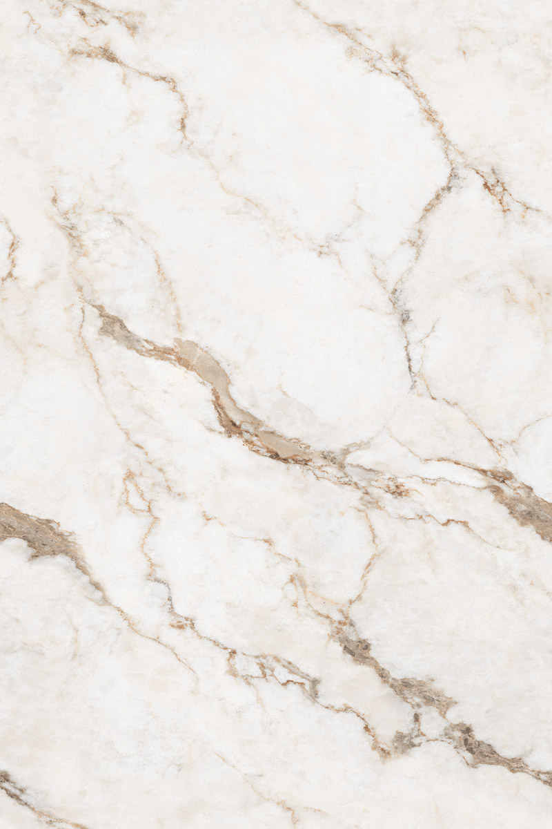 Matte Carving Finish CR Endless Calacatta Symphony GVT 800x1200mm