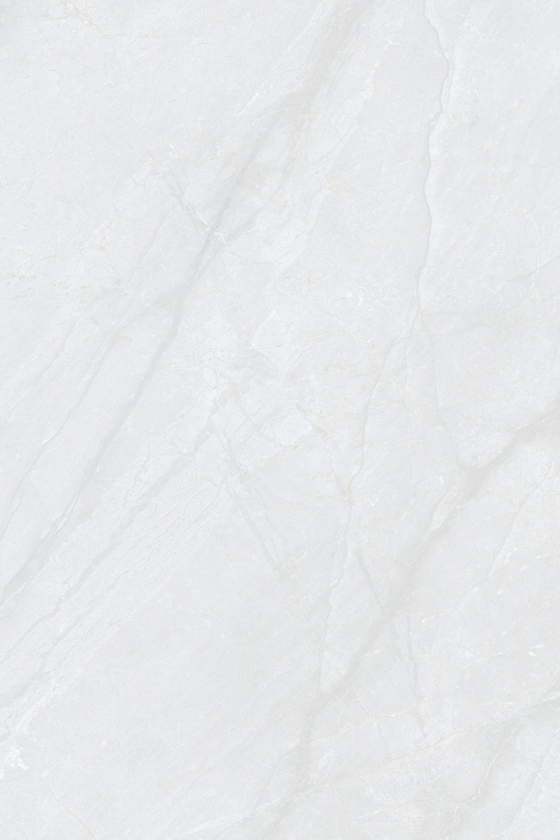 Glossy Finish DinovaBianco PGVT 800x1200mm