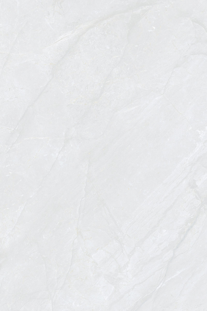 Glossy Finish DinovaBianco PGVT 800x1200mm