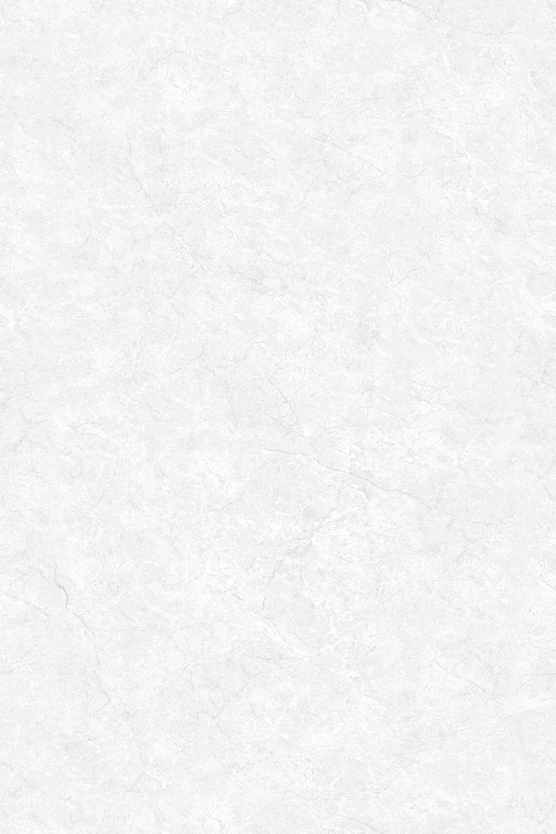 Glossy Finish EL Oyster Bianco PGVT 800x1200mm