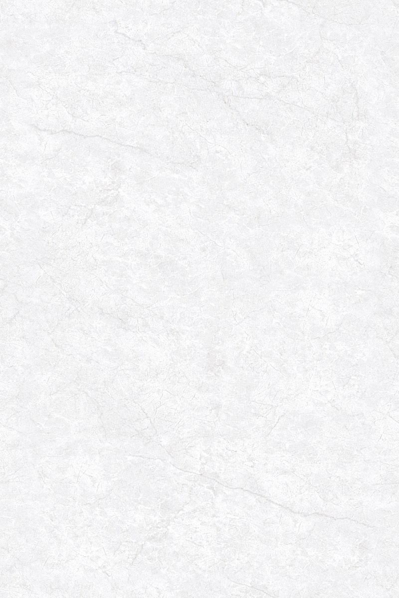 Glossy Finish EL Oyster Bianco PGVT 800x1200mm