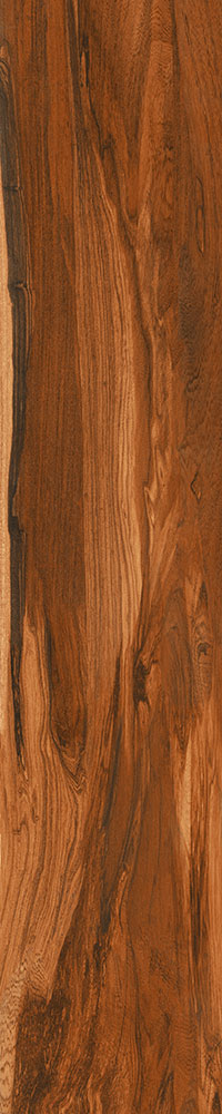 Matte Finish English Oak Porcelain 200x1000mm