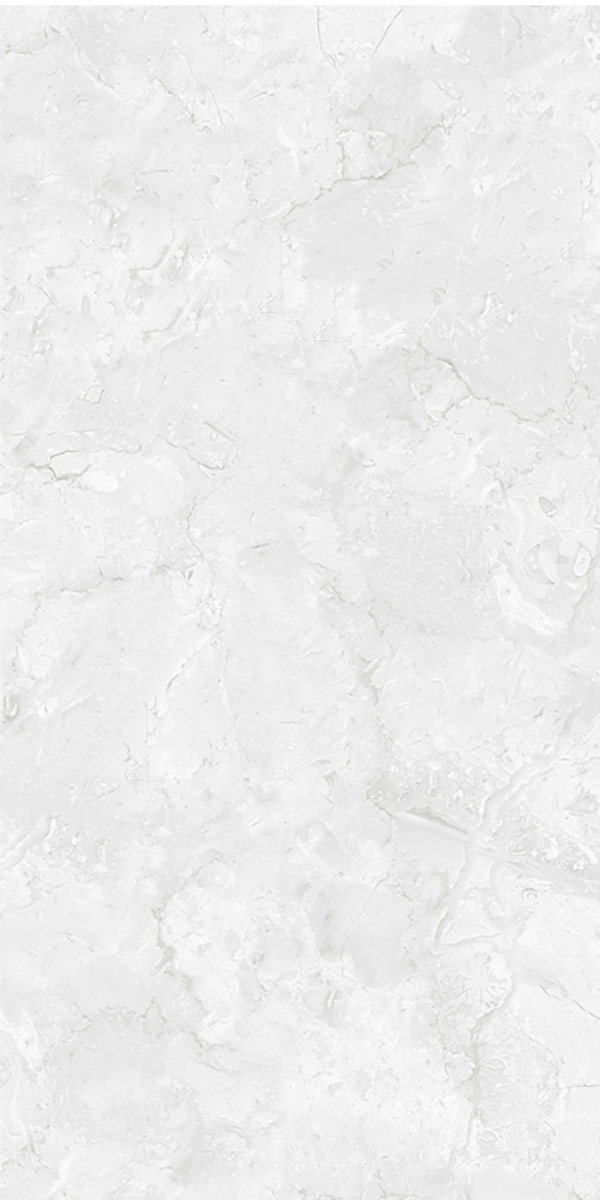 Glossy Finish Enrich Gris GVT 600x1200mm