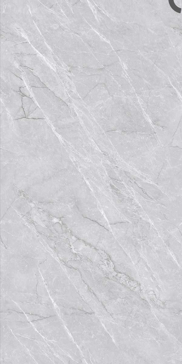 Glossy Finish Fenice Grey GVT 600x1200mm