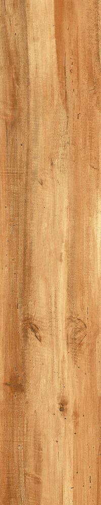 Matte Finish Golden Oak Porcelain 200x1000mm