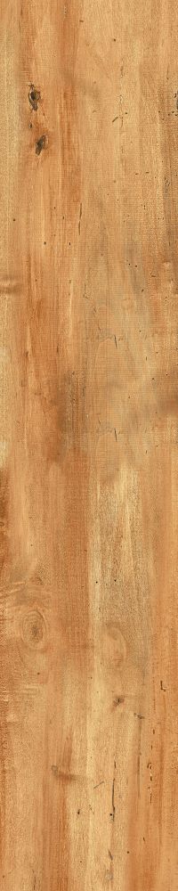 Matte Finish Golden Oak Porcelain 200x1000mm