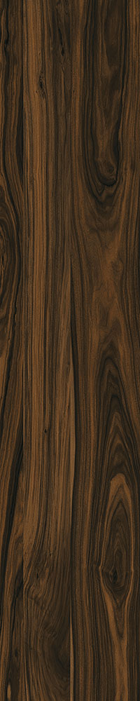 Matte Finish Jacobean Porcelain 200x1000mm