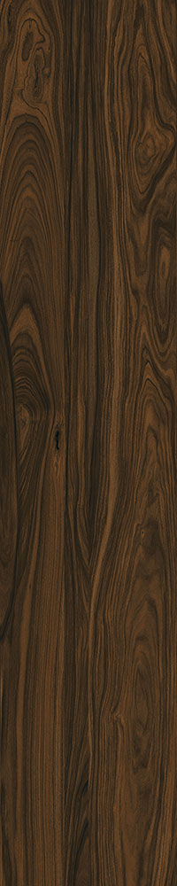 Matte Finish Jacobean Porcelain 200x1000mm