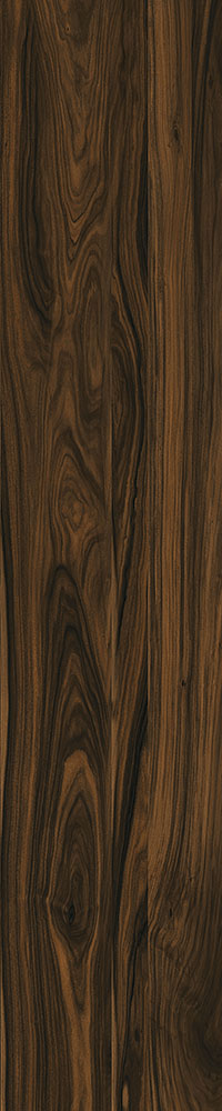 Matte Finish Jacobean Porcelain 200x1000mm