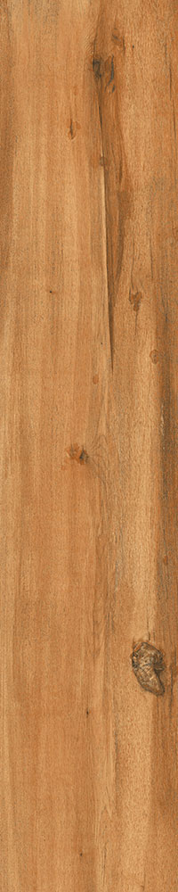 Matte Finish Knotty Hickory Porcelain 200x1000mm
