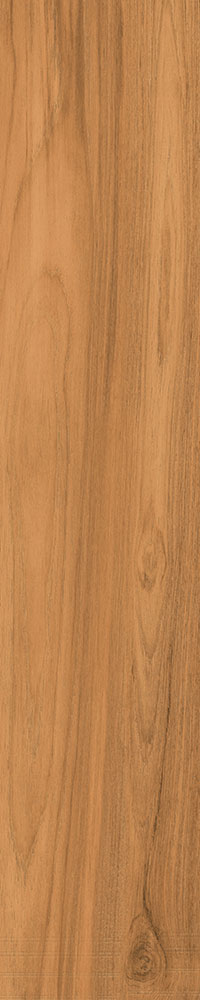 Matte Finish Latte  Porcelain 200x1000mm