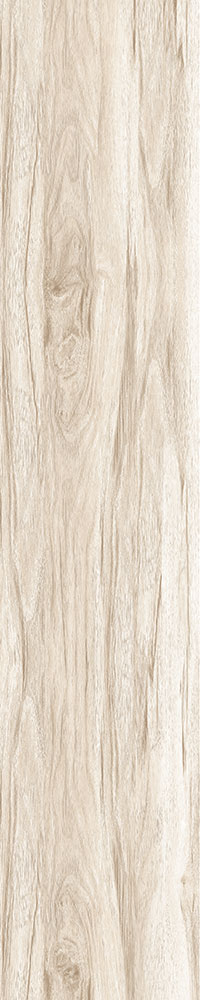 Matte Finish Lime 01 Porcelain 200x1000mm