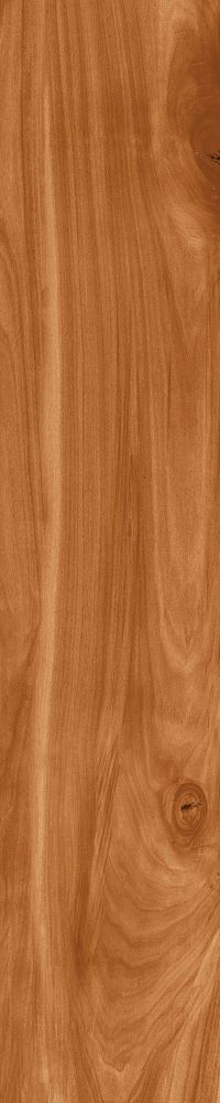 Matte Finish Mahogony Porcelain 200x1000mm