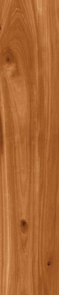 Matte Finish Mahogony Porcelain 200x1000mm