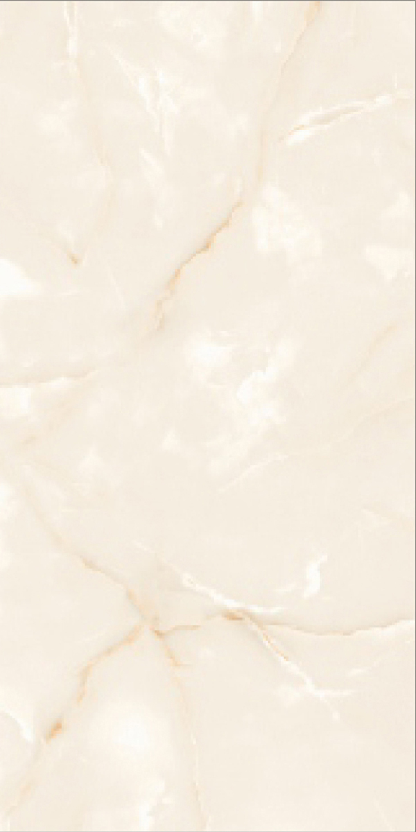 Glossy Finish Onida Onyx  GVT 600x1200mm