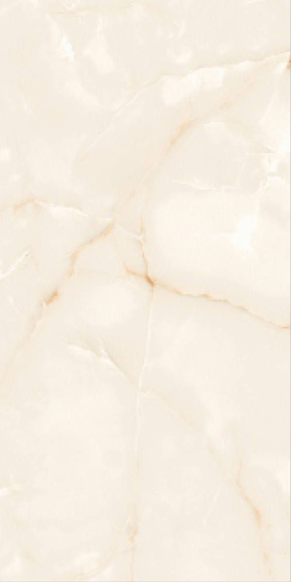 Glossy Finish Onida Onyx  GVT 600x1200mm