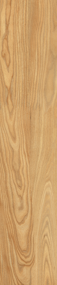 Matte Finish Poplar Porcelain 200x1000mm