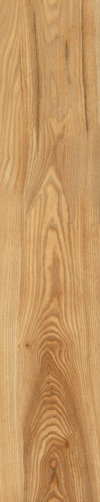 Matte Finish Poplar Porcelain 200x1000mm