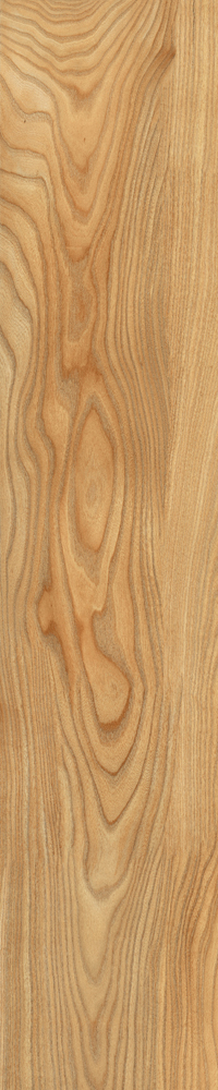 Matte Finish Poplar Porcelain 200x1000mm