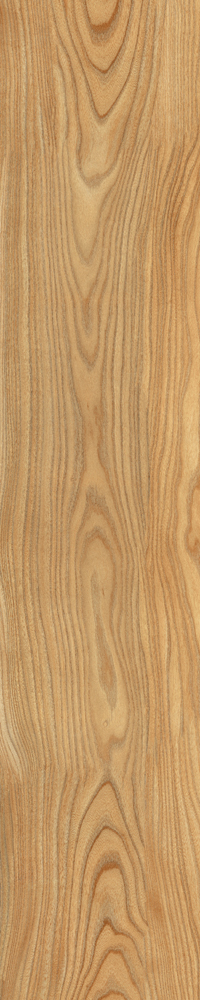 Matte Finish Poplar Porcelain 200x1000mm