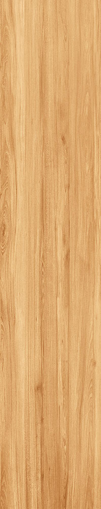 Matte Finish Pyrus Yellow Porcelain 200x1000mm