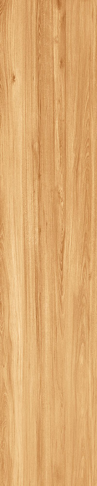 Matte Finish Pyrus Yellow Porcelain 200x1000mm