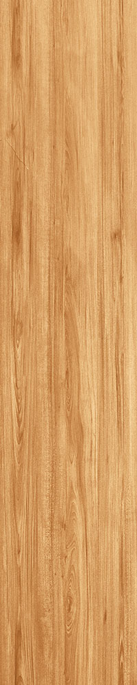 Matte Finish Pyrus Yellow Porcelain 200x1000mm