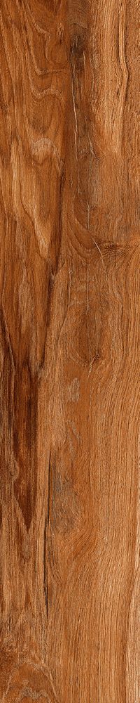 Matte Finish Roman Wood Porcelain 200x1000mm