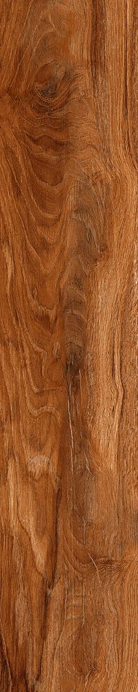 Matte Finish Roman Wood Porcelain 200x1000mm