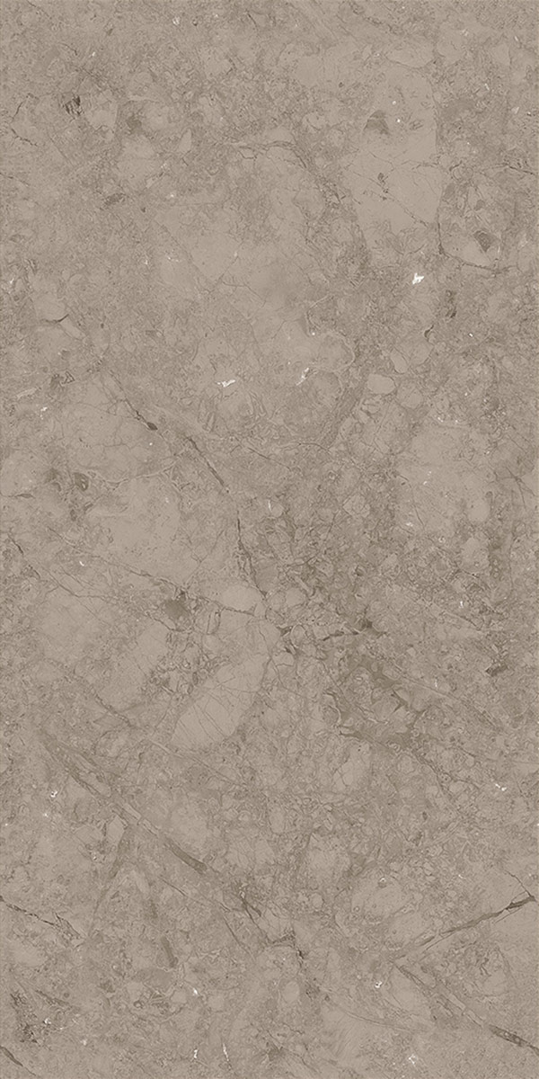 Matte Carving Finish Rodontta Br Dark  GVT 600x1200mm