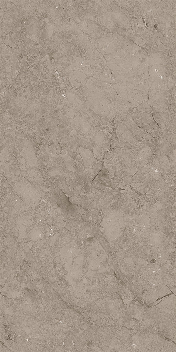 Matte Carving Finish Rodontta Br Dark  GVT 600x1200mm