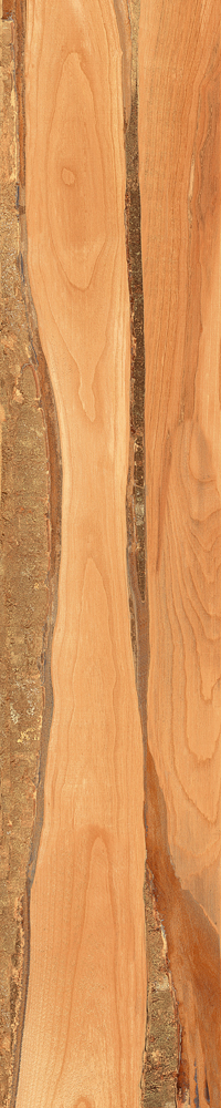 Matte Finish Sheesham Wood  Porcelain 200x1000mm