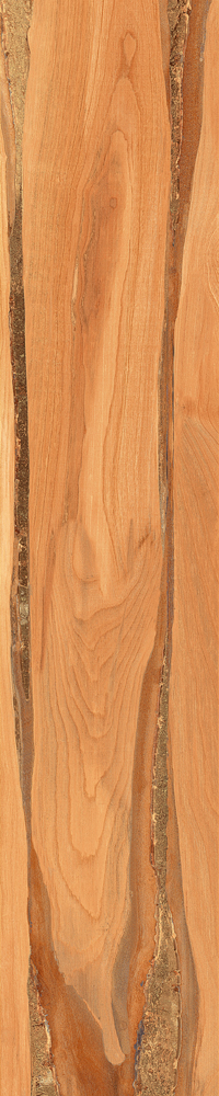 Matte Finish Sheesham Wood  Porcelain 200x1000mm