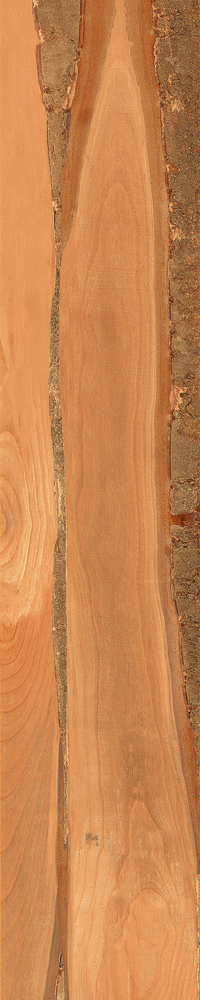 Matte Finish Sheesham Wood  Porcelain 200x1000mm