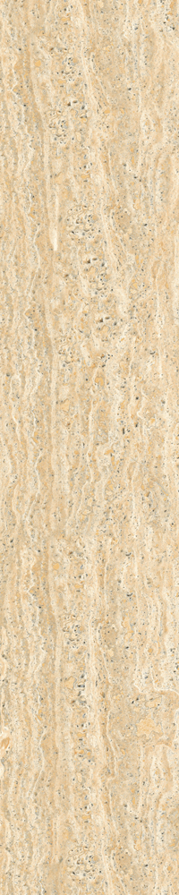 Traventine Stone Tiles