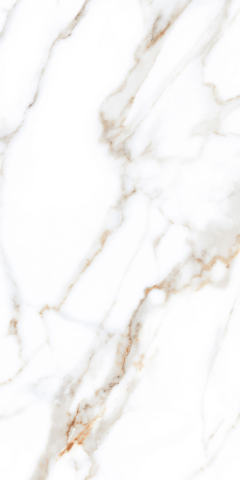 Glossy Finish Staturio Paradice(800x1600) PGVT 800x1600mm