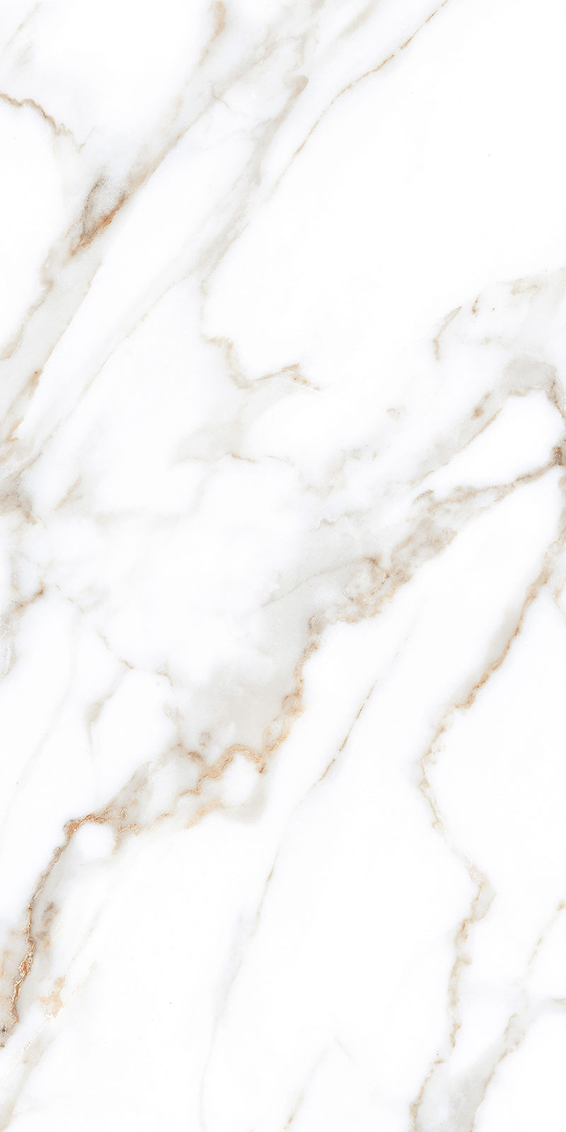 Glossy Finish Staturio Paradice(800x1600) PGVT 800x1600mm