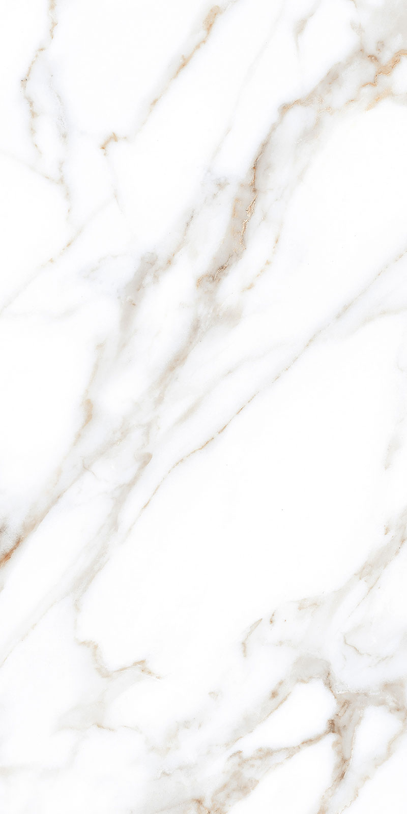 Glossy Finish Staturio Paradice(800x1600) PGVT 800x1600mm