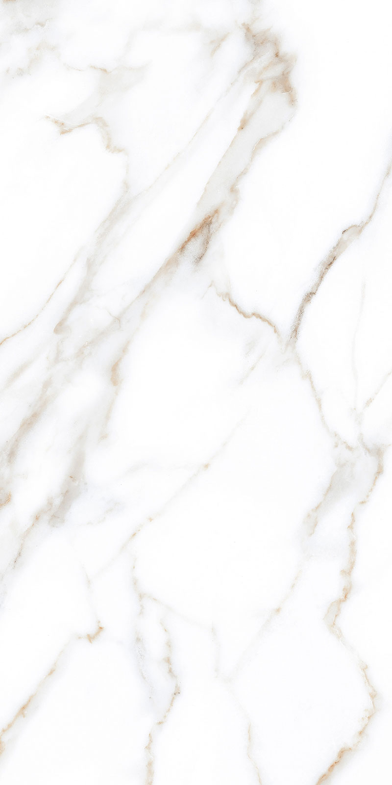 Glossy Finish Staturio Paradice(800x1600) PGVT 800x1600mm